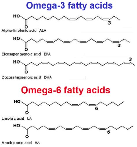 omega 3 fatty acid diagram